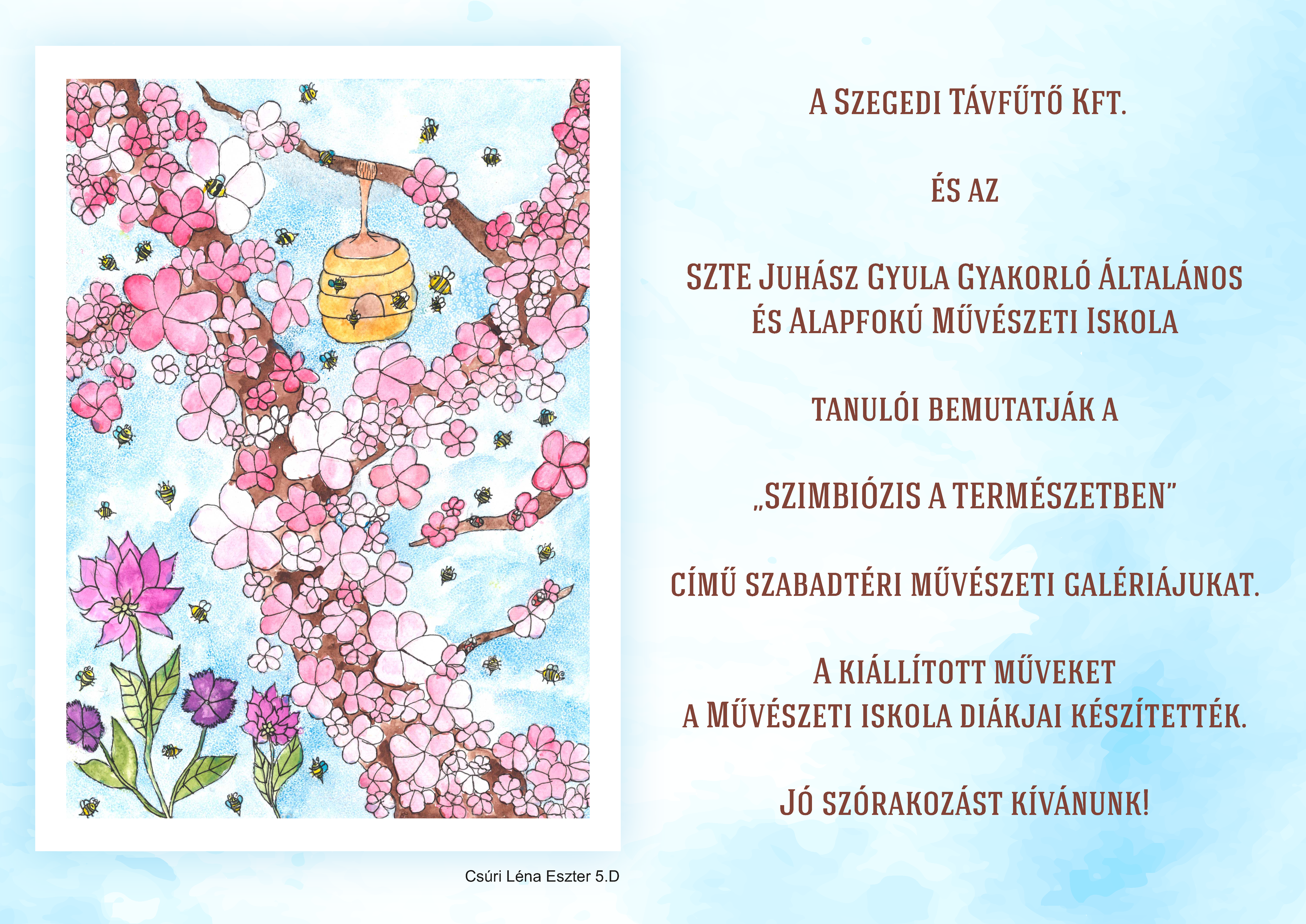 Új kültéri galéria nyílik Szegeden